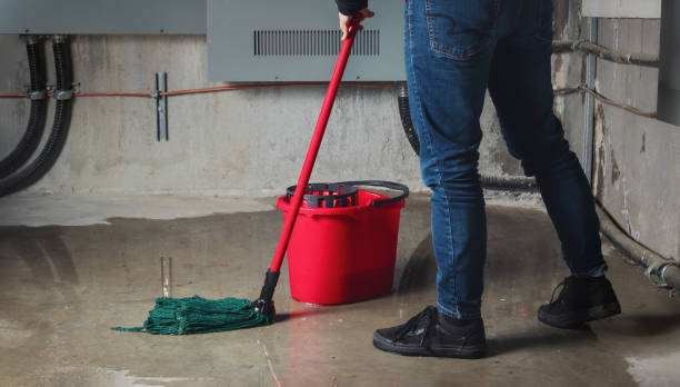 Best Flood restoration services  in Oak Brook, IL