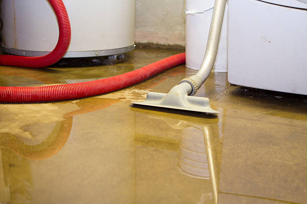 Best Sewage cleanup and water damage restoration  in Oak Brook, IL