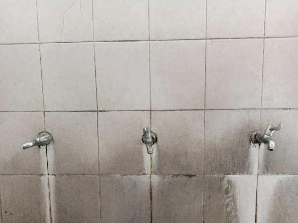 Best Flood restoration services  in Oak Brook, IL