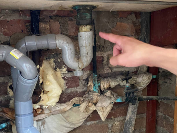Best Professional water damage repair  in Oak Brook, IL